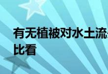 有无植被对水土流失量有何影响 降雨实验对比看