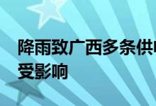 降雨致广西多条供电线路受损 11万用户用电受影响