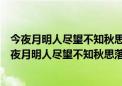 今夜月明人尽望不知秋思落谁家是什么意思是什么节日（今夜月明人尽望不知秋思落谁家是什么意思）