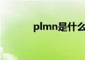 plmn是什么意思（plmnow）