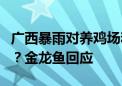 广西暴雨对养鸡场和粮油相关项目是否有影响？金龙鱼回应