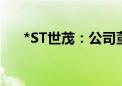 *ST世茂：公司董事、总裁吴凌华辞职