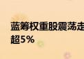 蓝筹权重股震荡走低 工业富联、宁德时代跌超5%