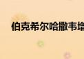 伯克希尔哈撒韦增持约260万股西方石油