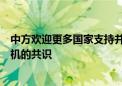 中方欢迎更多国家支持并加入中国、巴西关于解决乌克兰危机的共识