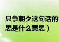 只争朝夕这句话的意思是什么（只争朝夕的意思是什么意思）