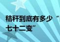 秸秆到底有多少“隐藏技能”？一起看秸秆“七十二变”