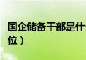 国企储备干部是什么职位（储备干部是什么职位）