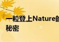 一粒登上Nature的芝麻 它知道你身体的所有秘密