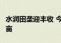 水润田垄迎丰收 今年我国累计灌溉面积超4亿亩