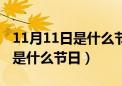 11月11日是什么节日是什么生肖（11月11日是什么节日）