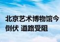 北京艺术博物馆今日闭馆一天：馆内多棵树木倒伏 道路受阻