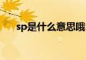 sp是什么意思哦（sp什么什么意思啊）