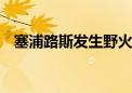 塞浦路斯发生野火 请求周边国家支援灭火