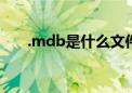 .mdb是什么文件（mdb是什么文件）