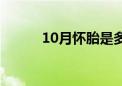 10月怀胎是多少周（10月怀胎）