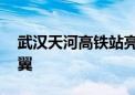 武汉天河高铁站亮相：犹如一只凤凰 六片羽翼