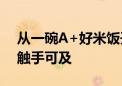 从一碗A+好米饭开始  小熊电器让品质生活触手可及