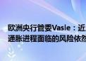 欧洲央行管委Vasle：近几个月来通货膨胀率大幅下降 但反通胀进程面临的风险依然存在