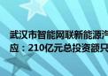 武汉市智能网联新能源汽车“车路云”示范项目建设单位回应：210亿元总投资额只是备案金额