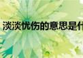 淡淡忧伤的意思是什么（忧伤的意思是什么）