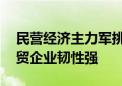 民营经济主力军挑起发展“大梁” 中小微外贸企业韧性强