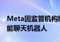 Meta因监管机构阻挠推迟在欧洲推出人工智能聊天机器人