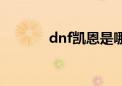 dnf凯恩是哪个图（dnf凯恩）