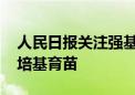 人民日报关注强基计划实施四年：厚植沃土 培基育苗