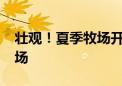 壮观！夏季牧场开放 内蒙古12.8万头牲畜转场