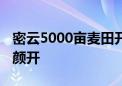 密云5000亩麦田开镰收割 农民颗粒归仓喜笑颜开