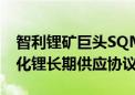 智利锂矿巨头SQM：已同现代起亚达成氢氧化锂长期供应协议