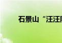 石景山“汪汪队”最小警犬 火了！