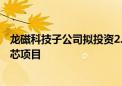 龙磁科技子公司拟投资2.56亿元建设软磁铁氧体原材料及磁芯项目