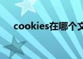 cookies在哪个文件夹（cookies在哪）