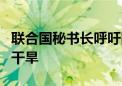 联合国秘书长呼吁国际社会共同应对荒漠化和干旱