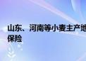 山东、河南等小麦主产地市已试点落地小麦收获期天气指数保险