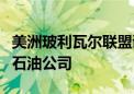 美洲玻利瓦尔联盟谴责美国出售委内瑞拉在美石油公司