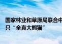 国家林业和草原局联合中央广播电视总台、腾讯发布全球首只“全真大熊猫”