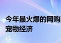 今年最火爆的网购商品榜出炉！吸猫撸狗捧红宠物经济