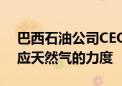 巴西石油公司CEO：公司希望加大向市场供应天然气的力度