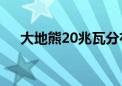 大地熊20兆瓦分布式光伏项目正式启动