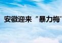 安徽迎来“暴力梅” 最大降雨量450.9毫米