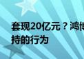 套现20亿元？鸿博股份回应：不存在违规减持的行为