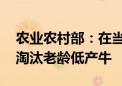 农业农村部：在当前肉牛养殖亏损时期 适度淘汰老龄低产牛