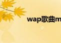 wap歌曲mv完整版（wap）