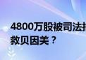 4800万股被司法拍卖！“神童”谢宏还能拯救贝因美？