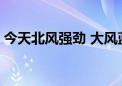 今天北风强劲 大风蓝色预警中 下周气温回升