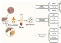 胆道闭锁相关生物标志物的研究进展