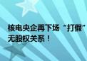 核电央企再下场“打假”：与中广核能源（海南）有限公司无股权关系！